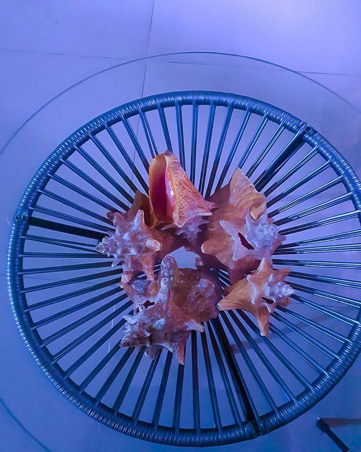 Hostal Gabo 布卡拉曼加 外观 照片